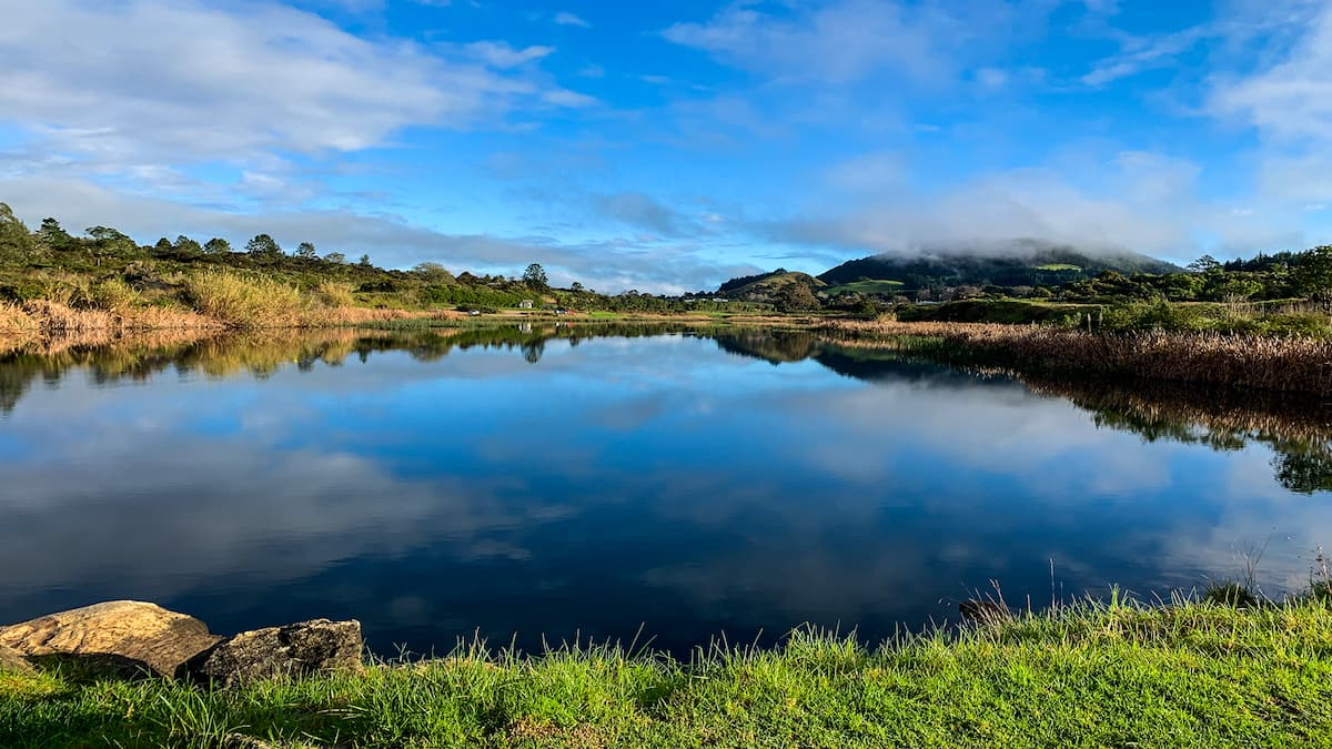 Top 5 Suburbs in Whangarei for Families Looking to Buy