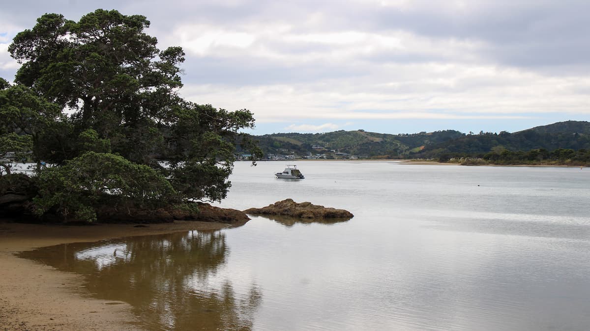A Guide to Whangarei’s Coastal Properties: Living by the Sea