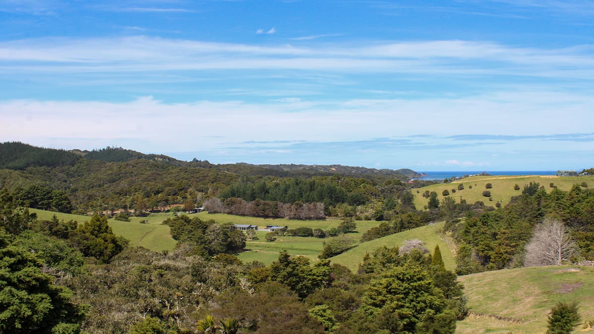 How to Price Your Whangarei Property