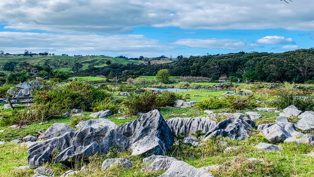 A First-Time Buyer’s Guide to Purchasing a Home in Whangarei