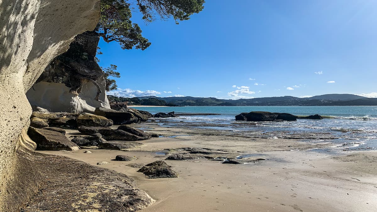 Understanding Whangarei’s Buyer’s Market: Is Now the Right Time to Buy?