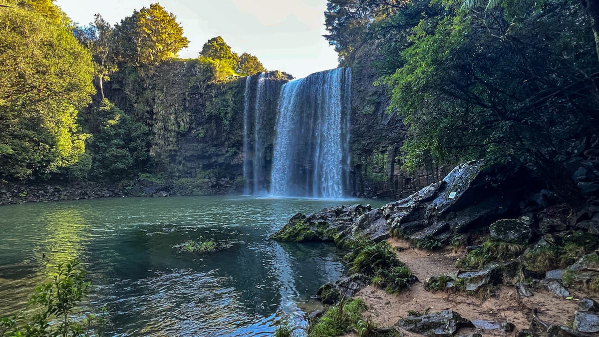 Whangarei Falls