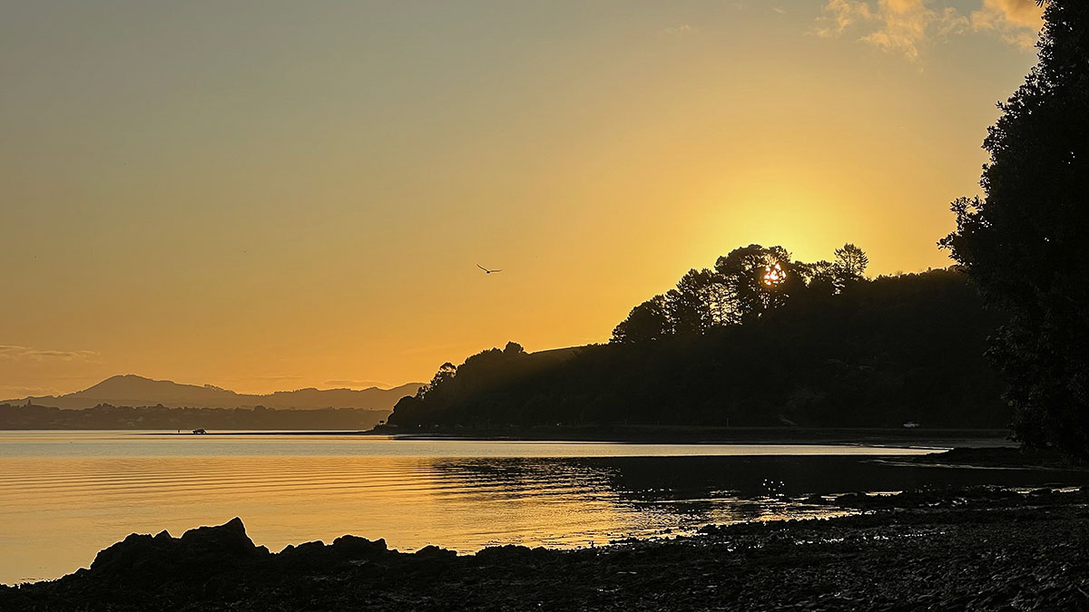 Northland Sold Properties